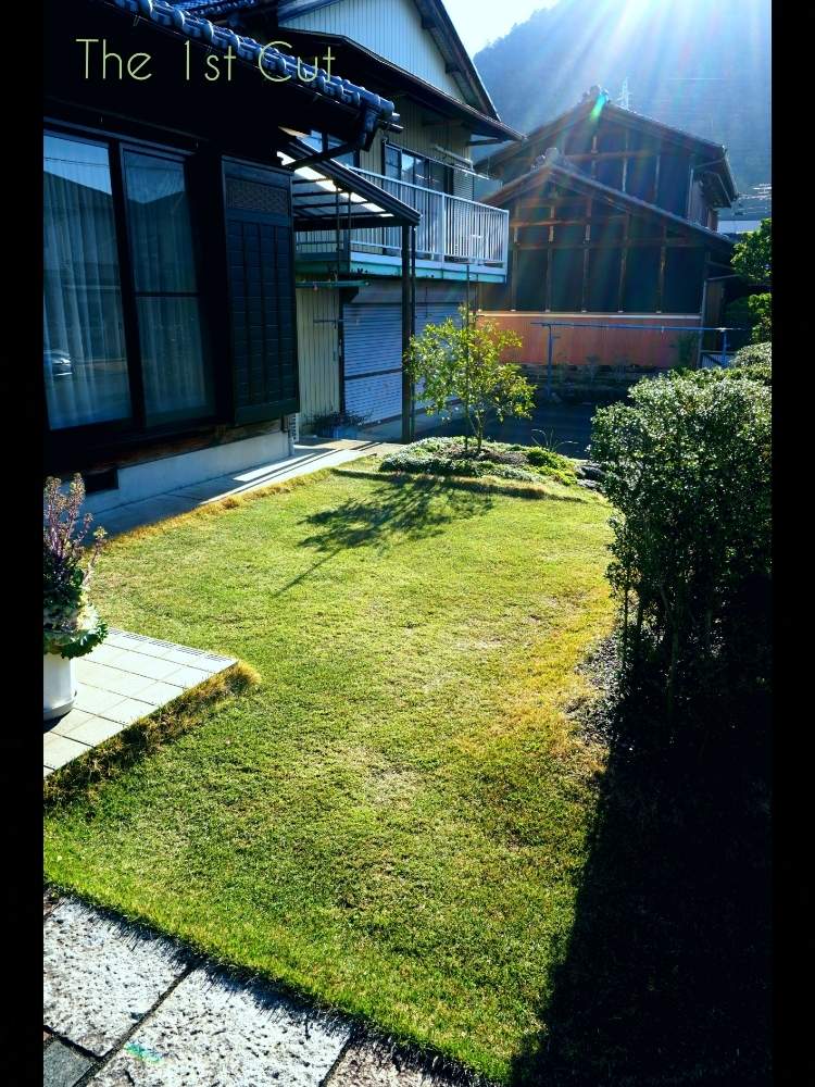 広い庭の画像 by toshi722さん | 広い庭とTM9と高麗芝と省管理型の芝と芝刈りとブランド高麗芝と岐阜県とはるが来た!と濃い芝目と綺麗な緑❤と美濃市と芝栽培日記とTM9栽培日記