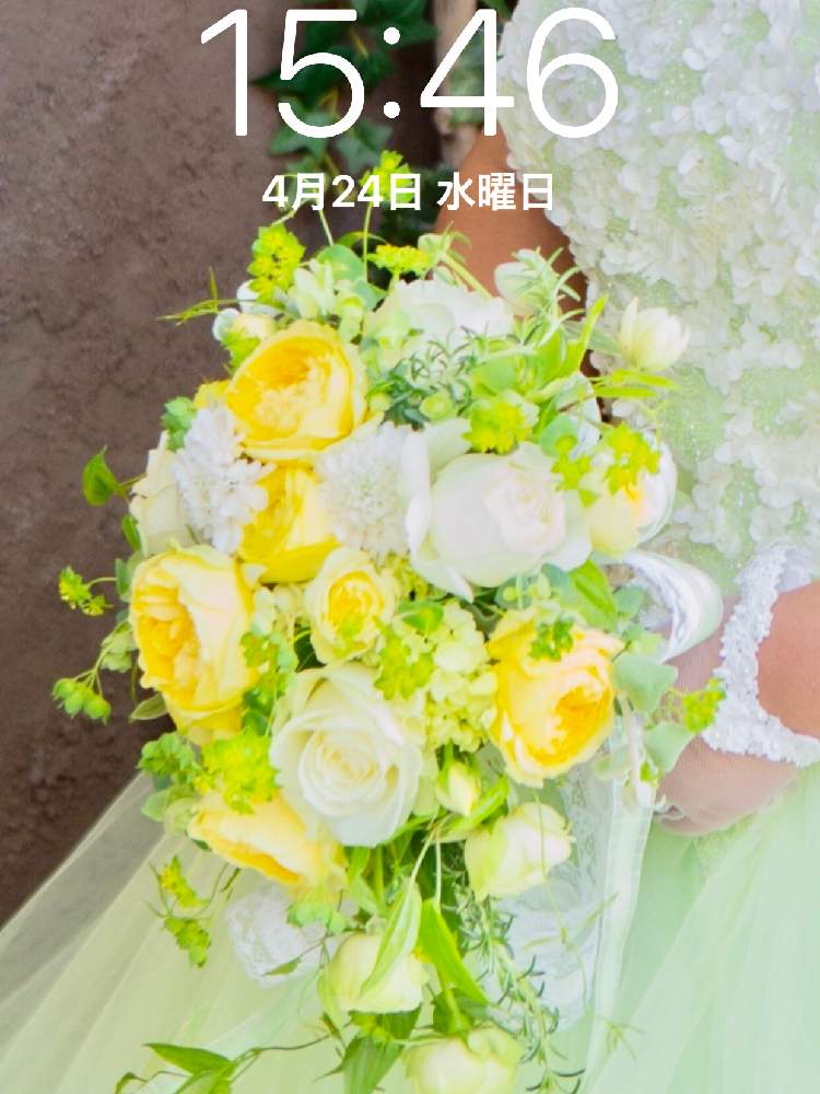 部屋の画像 by 杏さん | 部屋と多肉植物とマイ・コレクションとアガベ女子と観葉植物とニコちゃんファン倶楽部❣️とドライフラワーと植物バカと多肉大好きとGS映えとGSのみなさんに感謝♡と三重県と多肉女子と壁紙祭り2019春とブーケとアガベ大好き