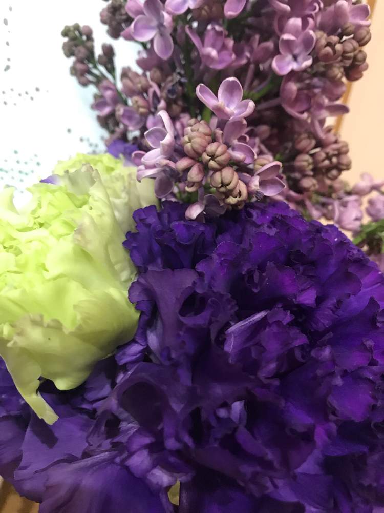 キッチンの画像 by プクマムさん | キッチンと八重咲きトルコ桔梗とムラサキの花と結婚式の時のお花とトルコキキョウ 紫
