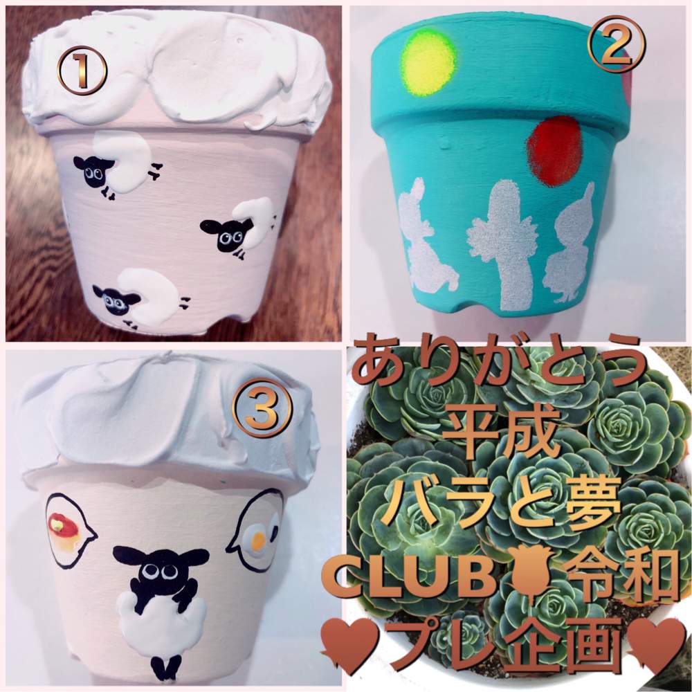 キッチンの画像 by コニー✨さん | キッチンとひつじ鉢と平成ありがとうバラと夢CLUB令私プレ企画と平成ありがとうバラと夢CLUB令和とバラと夢CLUBとリメ鉢と多肉女子とタニラーと毎日お疲れとたにおたくらぶと10連休何する?