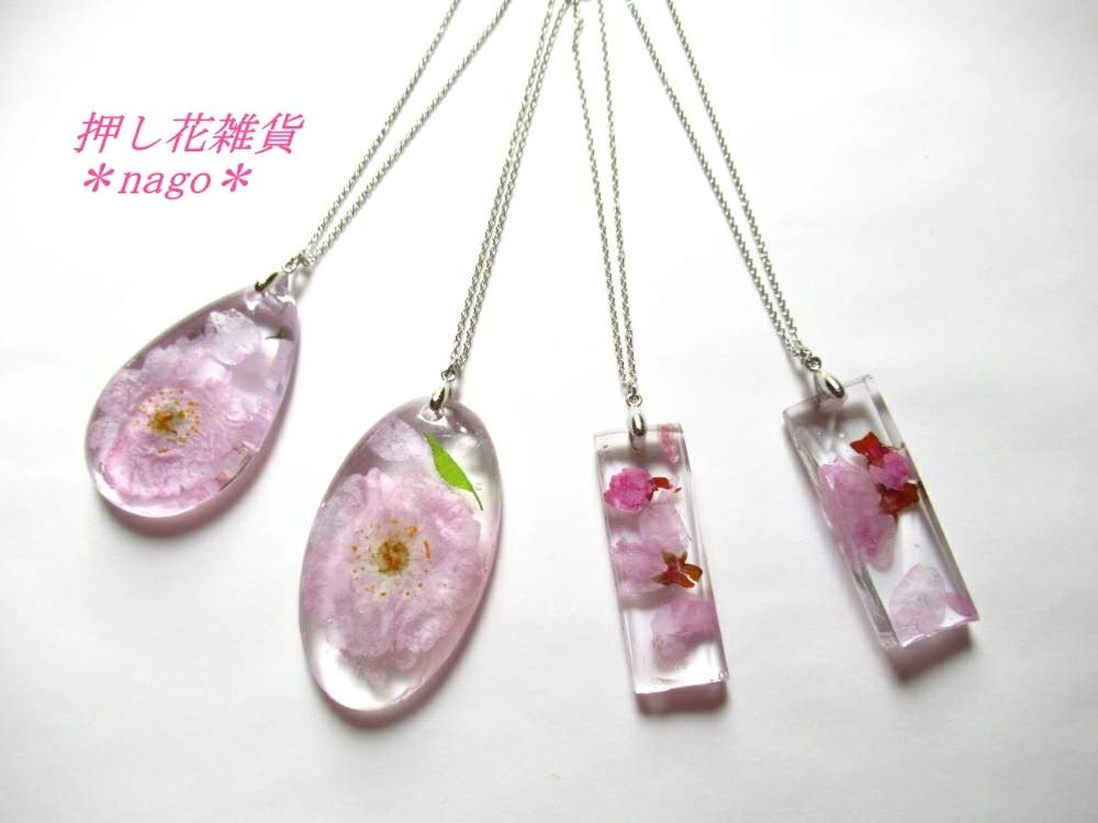 の画像 by nagoさん | 枝垂れ桜とシダレザクラとヤエザクラと八重桜とさくら サクラ 桜とサクラと押し花とハンドメイドとアクセサリーとレジン