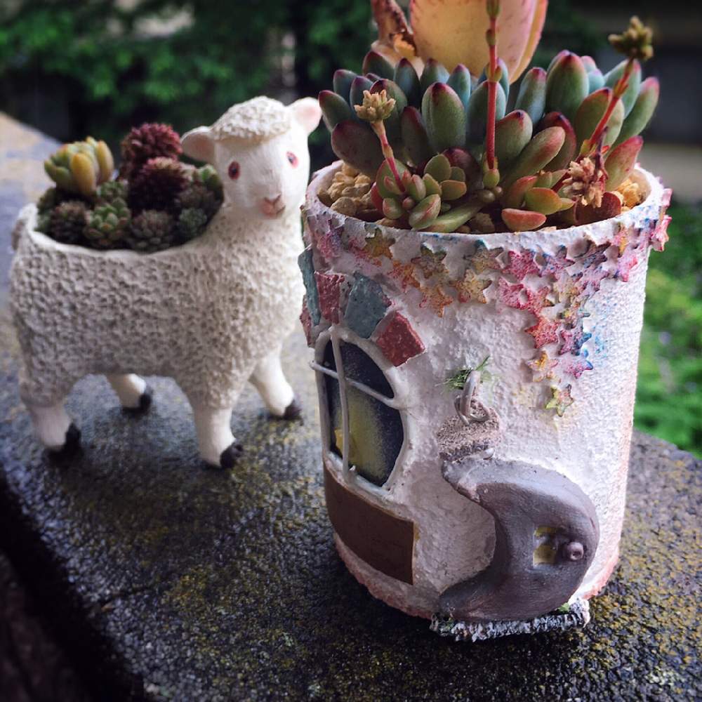 バルコニー/ベランダの画像 by chiruyaさん | バルコニー/ベランダと多肉植物とリメ缶と今日の一枚と星降る夜のちびーズと多肉女子と平成最後の日とちびーズと多肉寄せ植えとTARAさんのリメ缶とsucculent