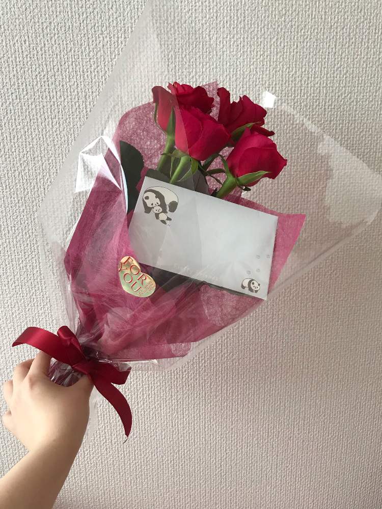 部屋の画像 by なおみさん | 部屋とバラと結婚記念日と旦那様からの贈り物とばら バラ 薔薇とプレゼントと真っ赤なバラとノンフィルターとお気に入り♡と癒しと植中毒と癒し空間と結婚記念日プレゼントと赤い花と花のある暮らしとかわいいな♡と10連休何する?と癒しのひと時と花束