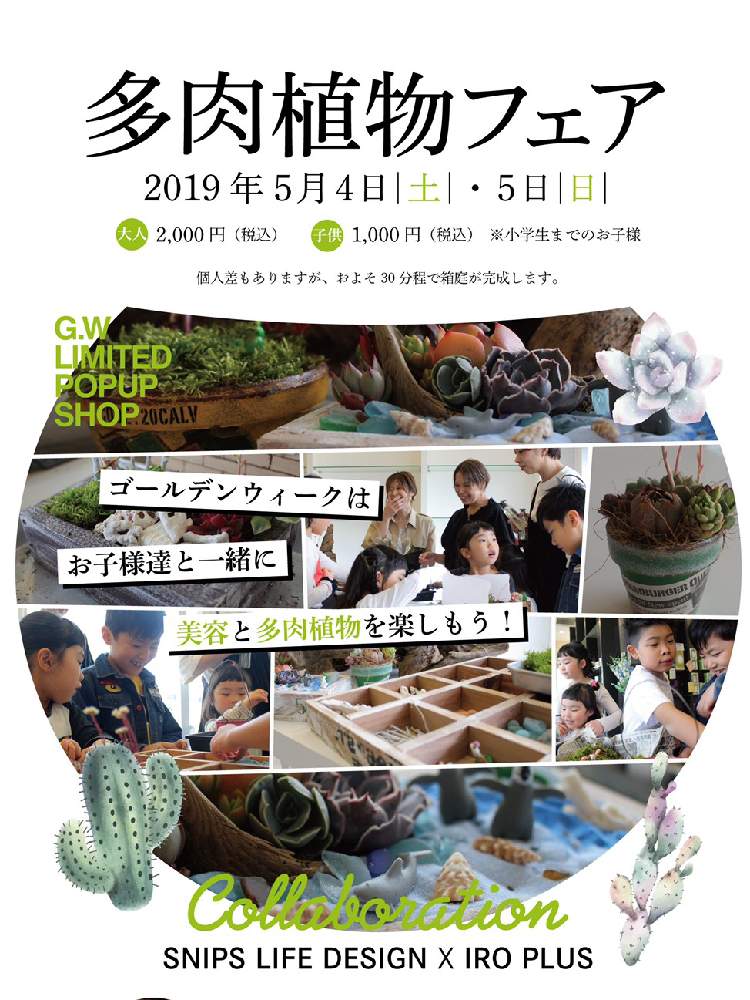 窓辺の画像 by iroさん | 窓辺と令和最初の植物とiro_plusと多肉植物とカラーサンドとシーグラスと小さな箱庭と苔 (コケ)と多肉箱庭とイベントとお誘いと多肉植物寄せ植えと新潟タニラーと多肉ワークショップと多肉女子とタニラーと新潟と色+と花のある暮らしとタニク初心者とワークショップ と多肉初心者
