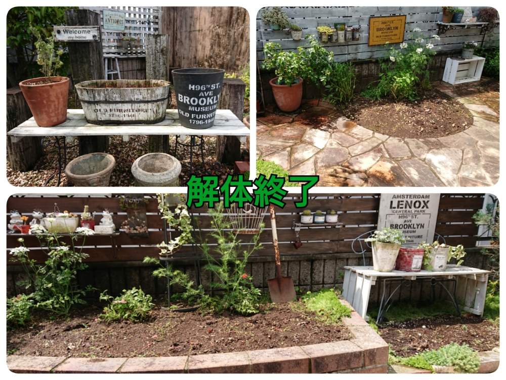 アプローチの画像 by tokochan styleさん | アプローチと多肉植物とガーデン雑貨と板塀とリメイクと寄せ植えと花壇とマイガーデンと☆パンジーとアンティーク鉢とヴィオラ✳︎とリメ鉢と雑貨とハンドメイドとガーデニングとリメイク缶とサインボードとテラコッタ鉢と アネモネと アリッサム