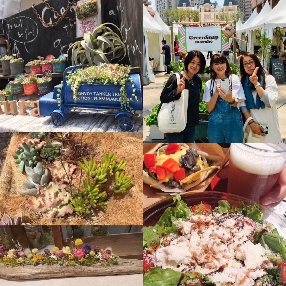 お出かけ先の画像 by oliveおりーぶさん | お出かけ先と多肉女子とGreenSnapmarcheと寄せ植えとGS映えと恵比寿グリーンファーム