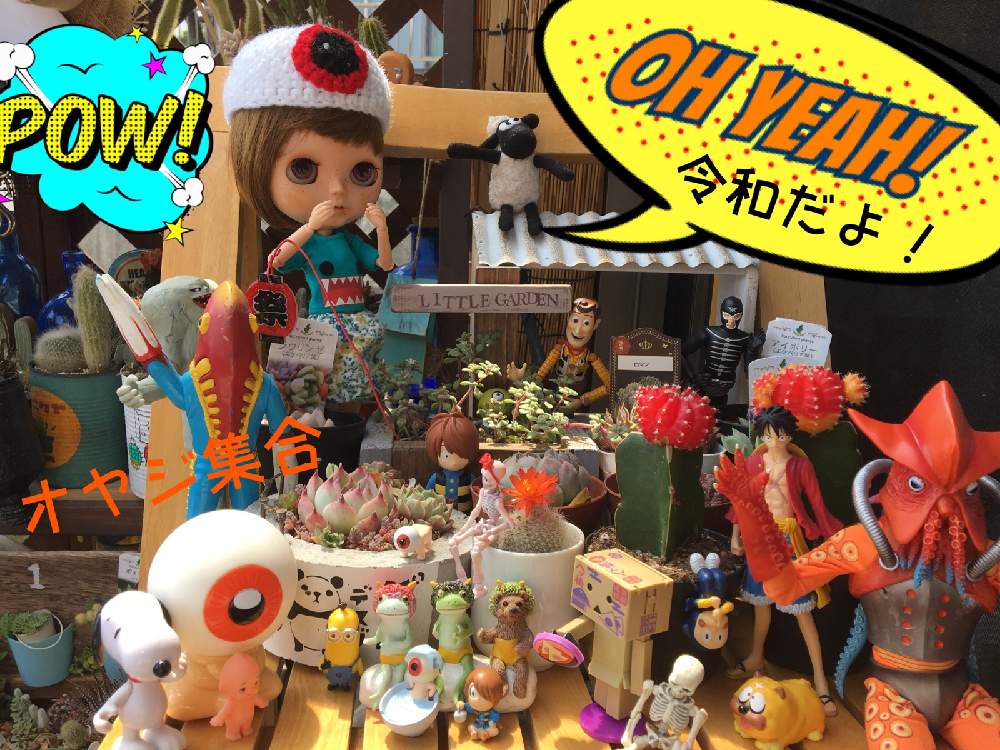 バルコニー/ベランダの画像 by BAKECAFE nicheさん | バルコニー/ベランダとブロウメアナと多肉植物の寄植えと緋牡丹とHTCと令和だよ!オヤジ集合と全国オヤジ連合会とBAKECAFE nicheと目玉オヤジ集合とHTC広報部長
