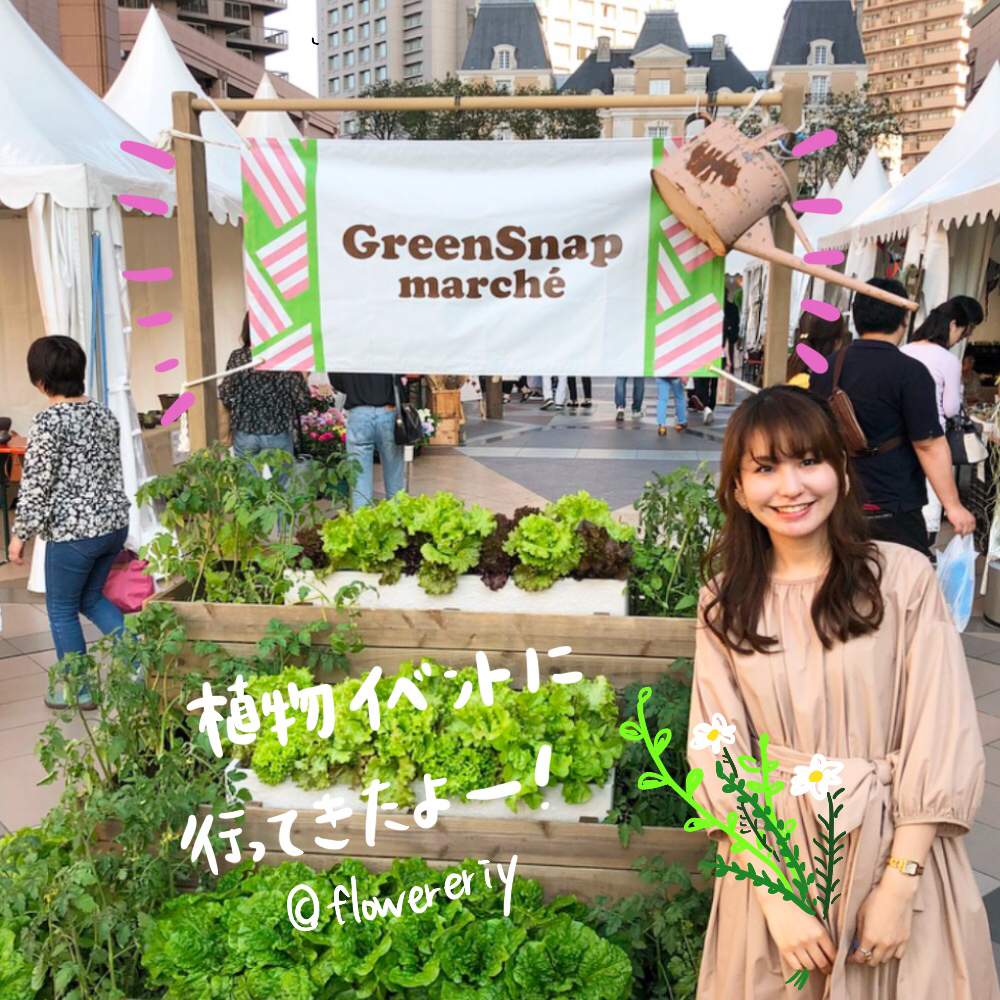 バルコニー/ベランダの画像 by エリさん | バルコニー/ベランダと観葉植物とボタニカルライフとグリーン!グリーン!グリーン!と多肉女子と観葉植物がスキとガーデニングと恵比寿グリーンファーム