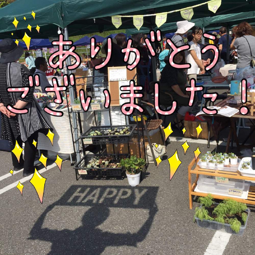 お出かけ先の画像 by あきさん | お出かけ先と多肉植物いろいろと多肉植物とフォロワーさん(*´∀`)ノ ありがとぅ♪と植欲が止まらないとうれしいな♪と多肉大好きとありがとう❤️とイイテ蚤の市とワクワクドキドキと植欲旺盛とイベント出店とGSのみなさんに感謝♡と植中毒と楽しかった♪と大好き過ぎてどうしよう♡とココナラ。とこれからもよろしく♡と多肉植物ラブとイイテ坪井店と千葉タニラー