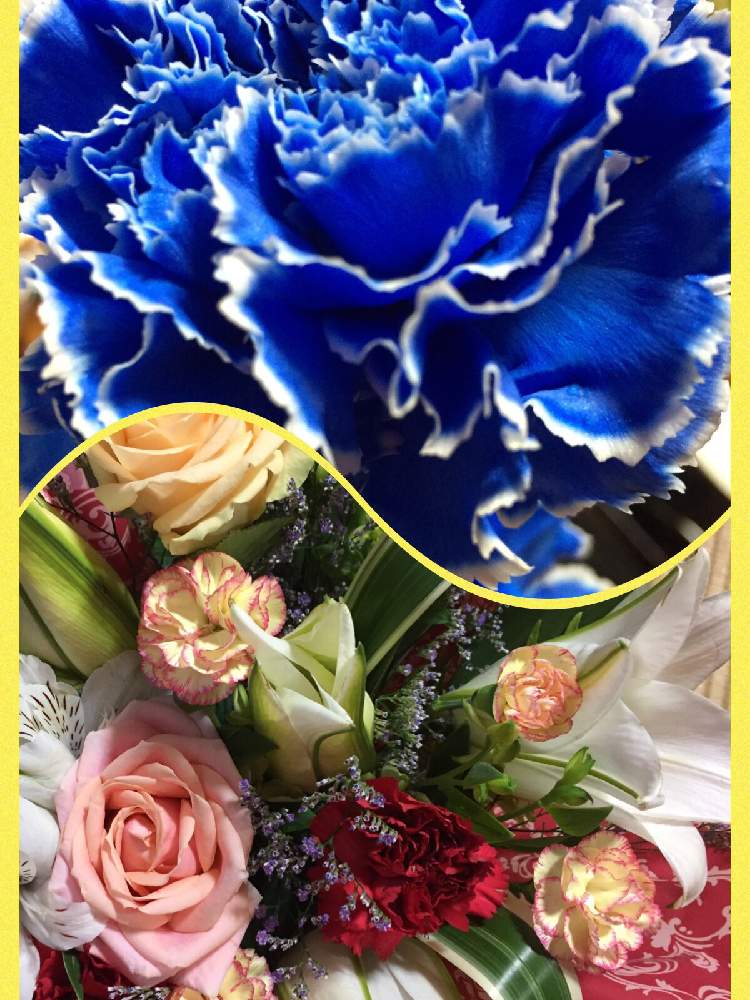 の画像 by SUNさん | カーネーションとカサブランカと薔薇と赤い花と花のある暮らしとブルーの花と白い花と母の日