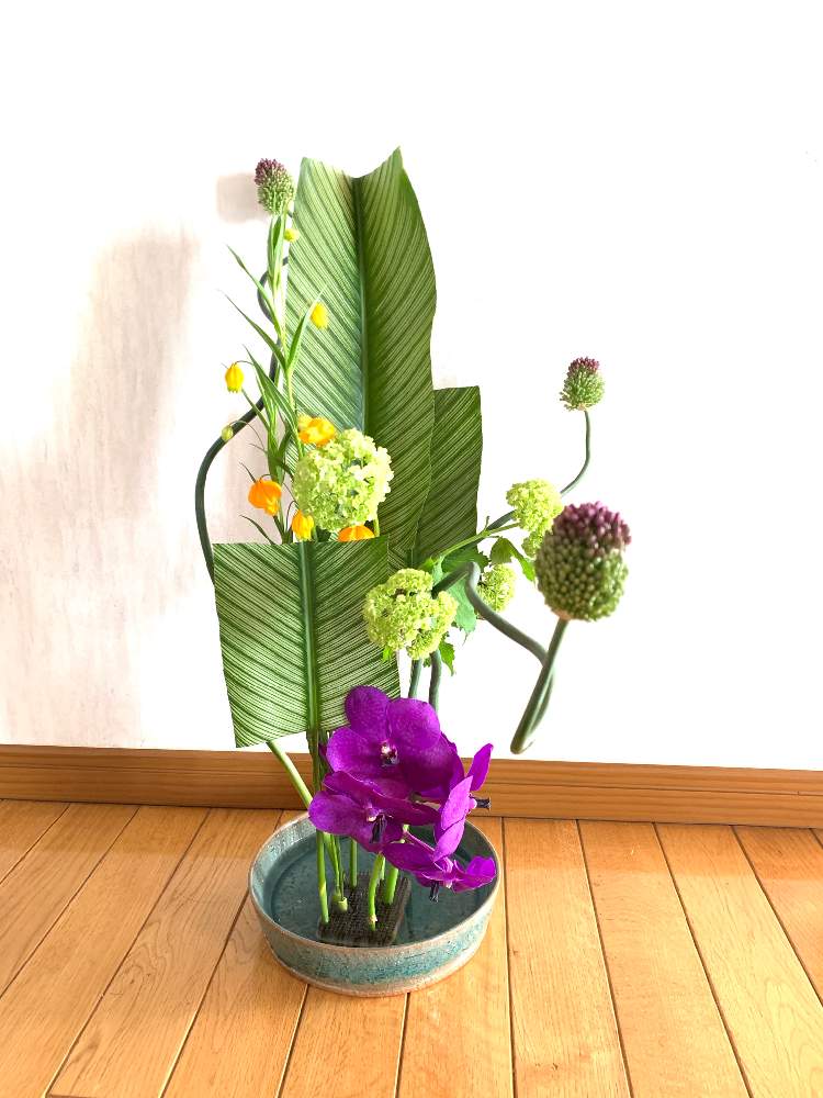 部屋の画像 by yosihana 2さん | 部屋と多肉大好きと植中毒とお花ある暮らしと多肉女子とフラワーアレンジメントと花のある暮らしとお花と多肉寄せ植え
