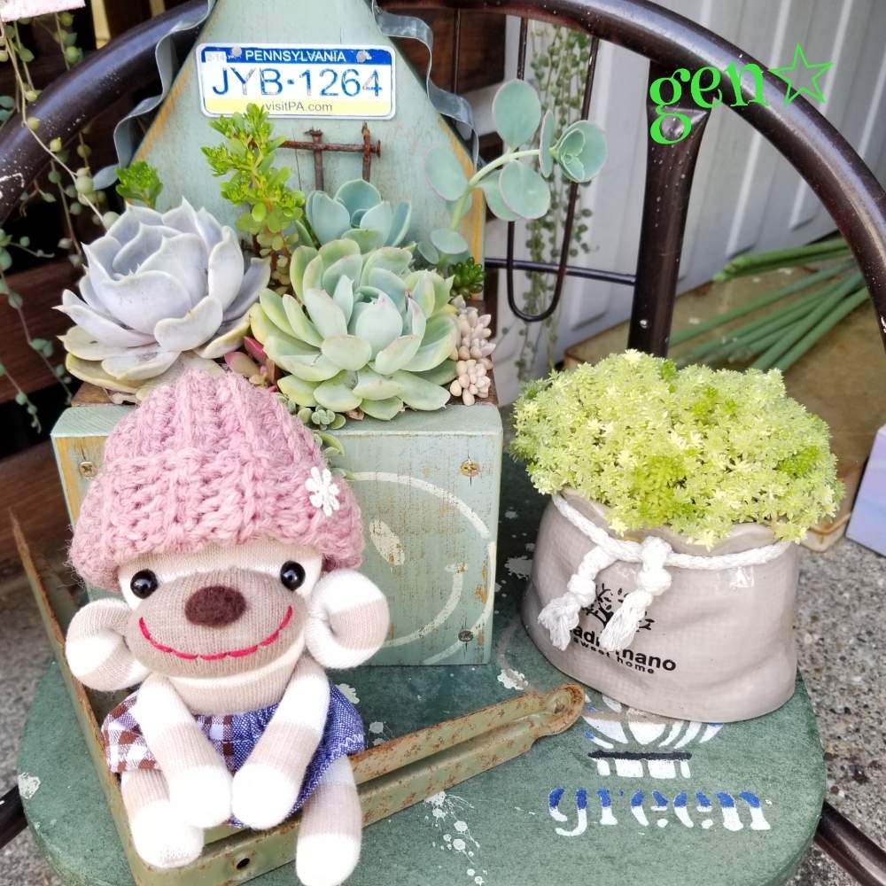 テラスの画像 by げんげんさん | テラスとHTCとだいすきとありがとう♡と多肉植物寄せ植えと植中毒と多肉夫婦とバラと夢CLUBとリメ缶・リメ鉢としあわせ♡とタニラーといやされるとかわいいな♡と多肉多肉多肉多肉多肉‼とたにおたくらぶと千葉タニラーと置ききれない多肉たちとGS植物うちなーぐち会