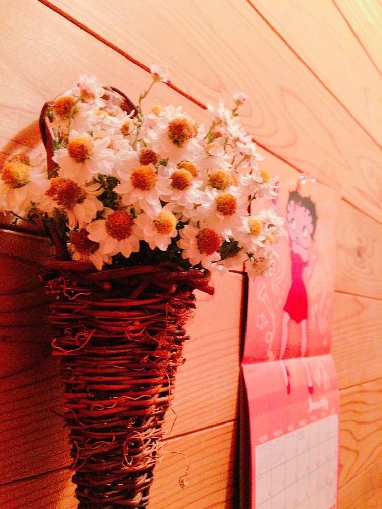 インテリアの画像 by mie❤︎さん | インテリアとHTCと花かんざし♡とGS映えとGS日和と今日の一枚とキュートと花かんざし。とキュンキュン♡とおしゃれ❤️とかわいいな♡とGREEN UP!とトイレの癒しと花かんざしのドライとかわいい❤