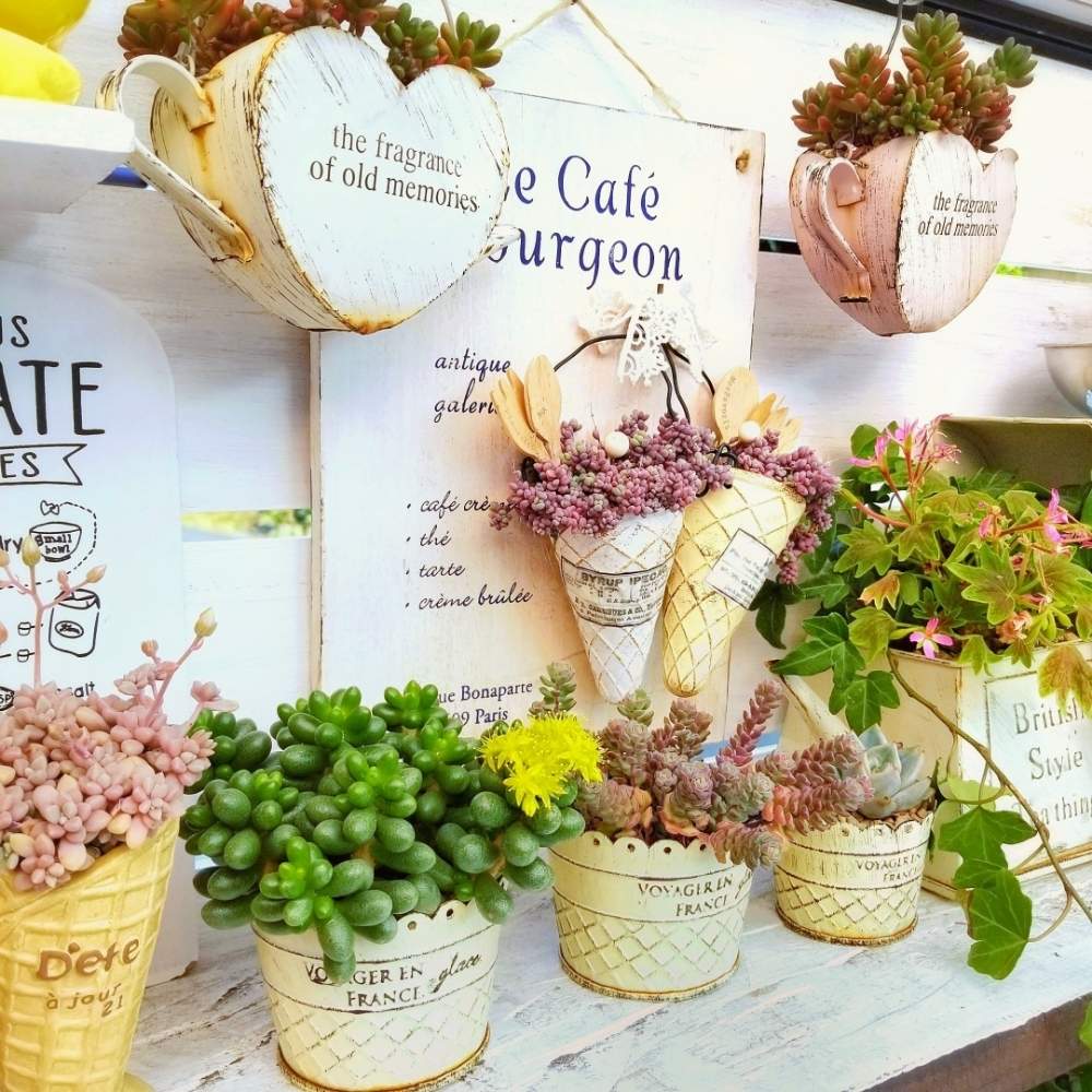 棚の画像 by *☆三日月☆*さん | 棚とHTCと植物のある暮らしと寄せ植えと多肉のある暮らしと雑貨好き♡と多肉色々~☆と多肉寄せ植え