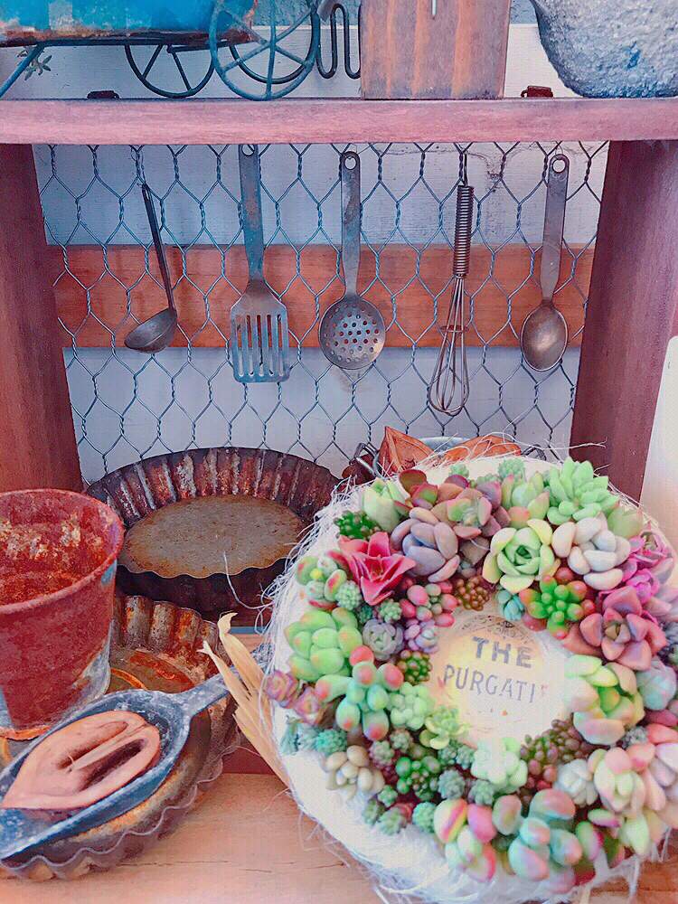 バルコニー/ベランダの画像 by ショーンさん | バルコニー/ベランダとHTCと茶こしリースと多肉植物寄せ植えと花の15年組とGSミニモニ。と癒やしの時間とチーム福岡とkurumiチャンありがとう♡