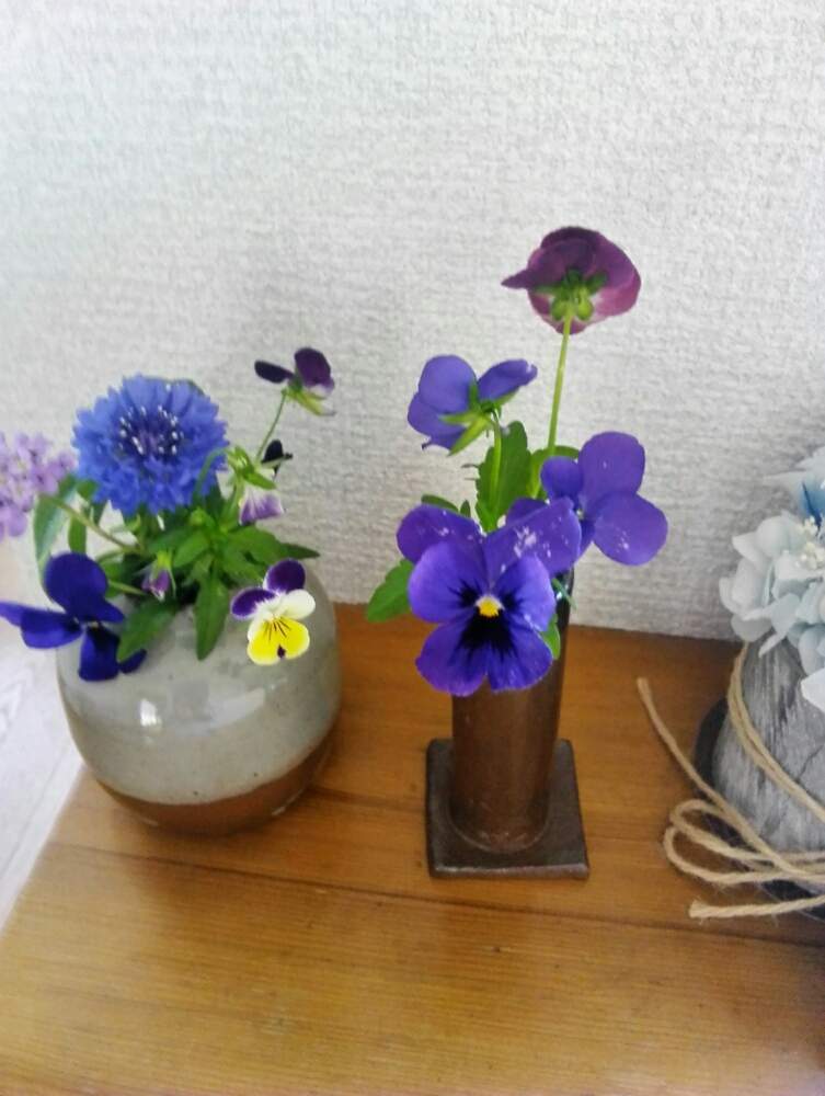 窓辺の画像 by かすみさん | 窓辺とかわいいと花のある暮らしと長い間咲いてくれて、ありがとう