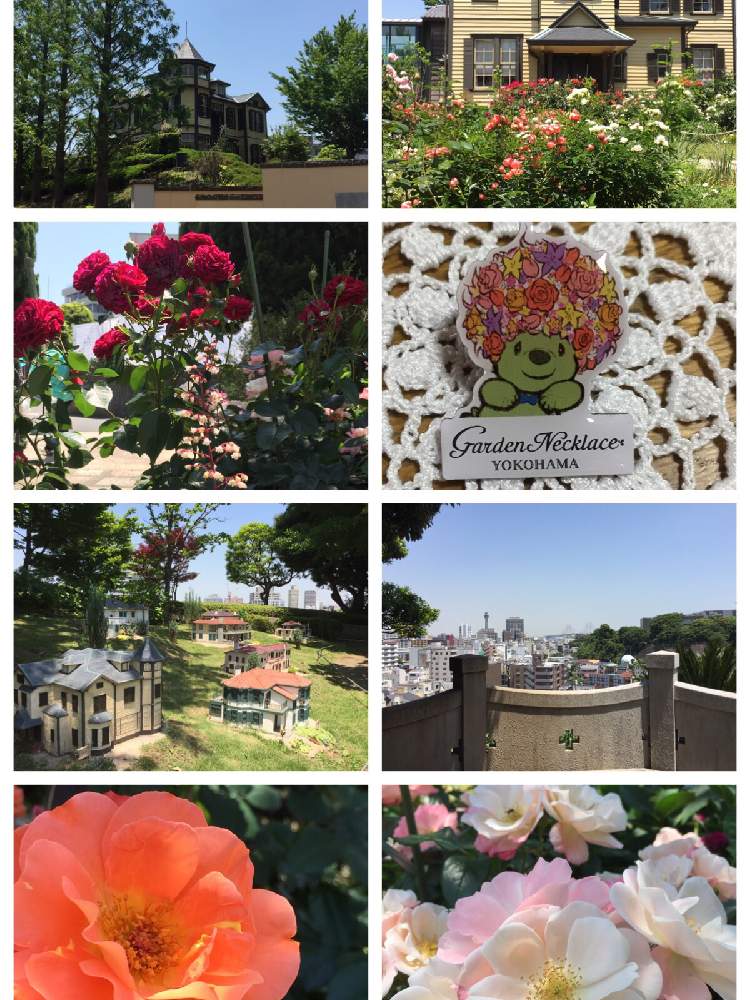 お出かけ先の画像 by SUNさん | お出かけ先と薔薇と横浜山手西洋館とピンクの花とガーデンネックレス横浜2019コンテストと公園と可憐とオレンジの花と赤い花と花のある暮らしとイタリヤ山と白い花とお散歩