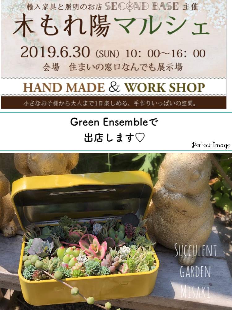 小さな庭の画像 by Misakiさん | 小さな庭と多肉植物とフォロワーさん(*´∀`)ノ ありがとぅ♪と多肉大好きとお誘いと多肉植物寄せ植えと多肉植物アレンジメントとイベント出店と工具箱とお知らせと多肉女子とハンドメイドと多肉植物アレンジメントインストラクターとグリーンアンサンブルとかわいいな♡と千葉タニラーと工具箱寄せ