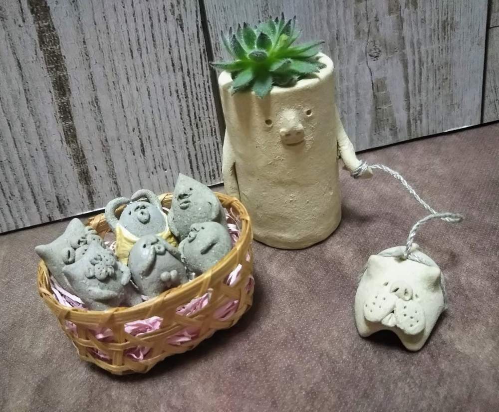 部屋の画像 by しのんさん | 部屋と多肉植物とHTCと広島ロハスとHTC No.16とかわいい♡とお気に入り♡とコビトシリーズと大好きとコビトさんとやったー!とうれしい!