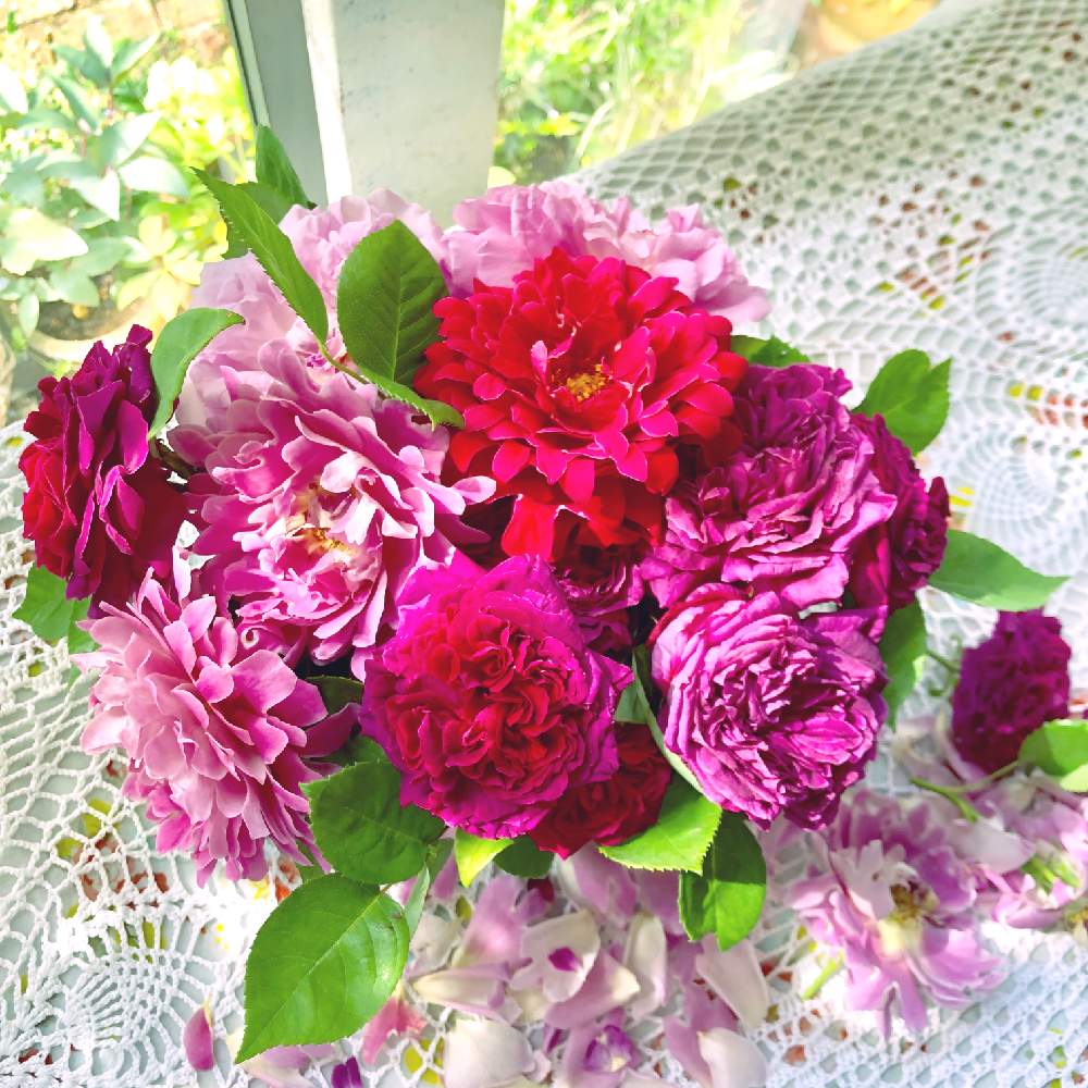 窓辺の画像 by na-chanさん | 窓辺と薔薇と植物と共に暮らすと薔薇に魅せられてとつるバラとこれこらドライフラワーにします♡と花のある暮らしと薔薇♪と『窓辺に飾られた植物』フォトコンテストといいね❤️フォロー❤️コメント❤️ありがとうと薔薇の花