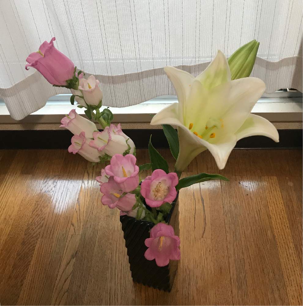 窓辺の画像 by 咲子さん | 窓辺とフランスフラワーアレンジとザックリ投げ入れ(笑)と世界洋蘭展と世界らん展2019とヨーロピアンフラワーと室内インテリアとハーブと100均アレンジと花のある暮らしとGREEN UP!とバルコニスト