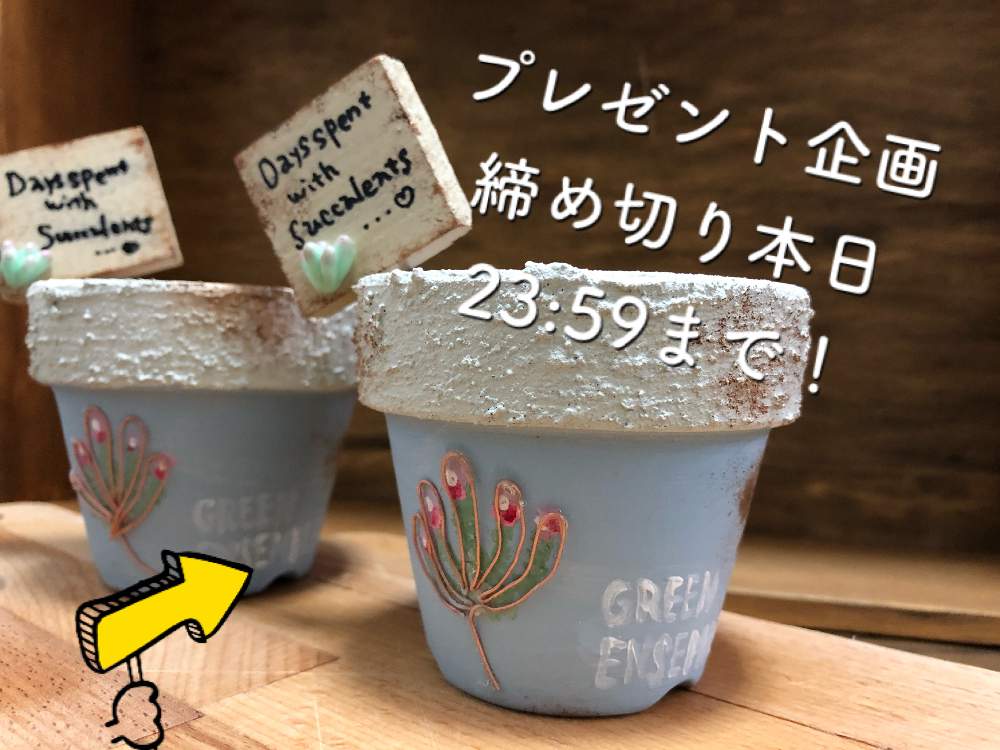部屋の画像 by Misakiさん | 部屋とフォロワーさん(*´∀`)ノ ありがとぅ♪と多肉大好きとお誘いとお知らせとリメ鉢と多肉女子とハンドメイドと多肉植物アレンジメントインストラクターとプレ企画とガーデンピックと千葉タニラー