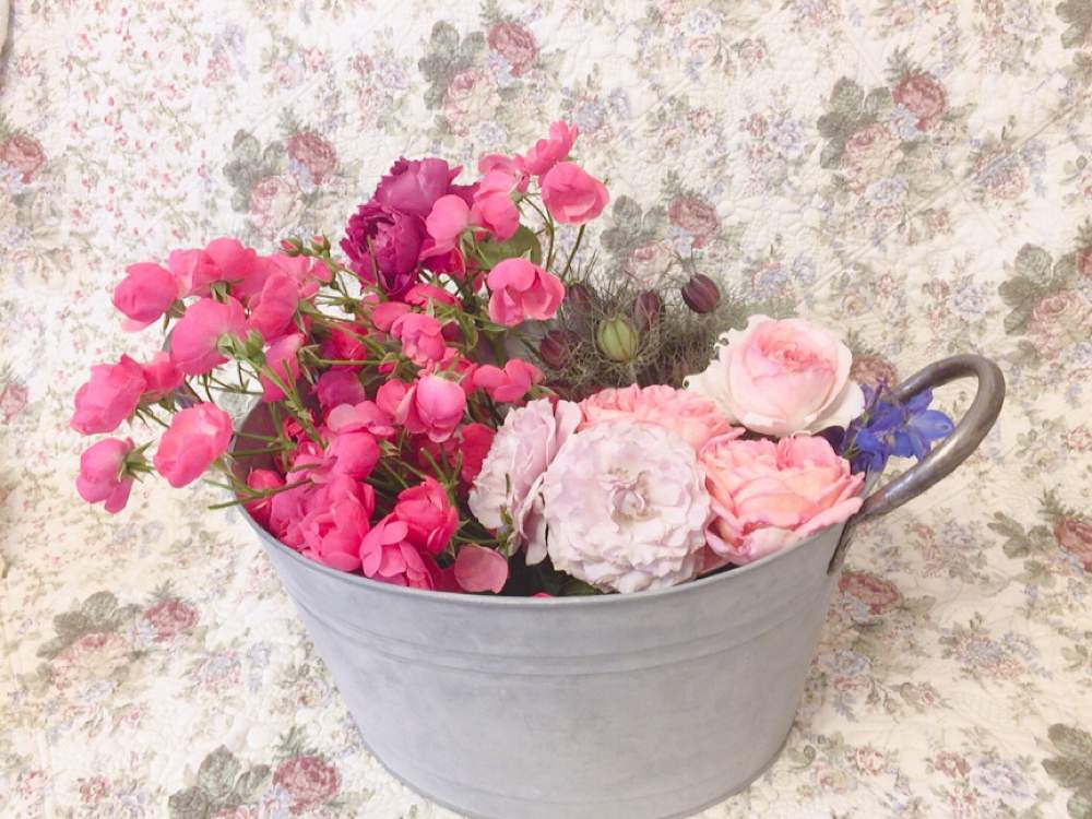 部屋の画像 by Mの森さん | 部屋とガーデン雑貨とHTCとブリキバケツと薔薇愛同盟と植中毒と薔薇を楽しむと花のある暮らしとMの森の薔薇2019とロザリアン