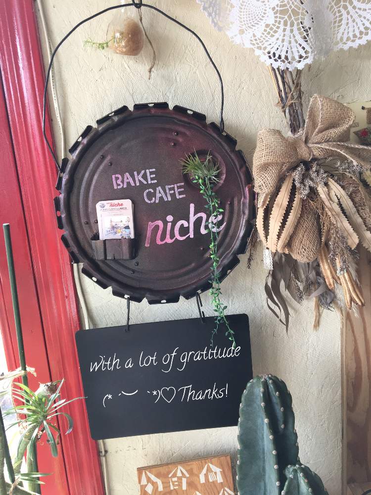 窓辺の画像 by BAKECAFE nicheさん | 窓辺と柱サボテンとドライフラワーのスワッグとありがとう♡とHTCとHTC広報部長とNikonoma作品とBAKECAFE niche