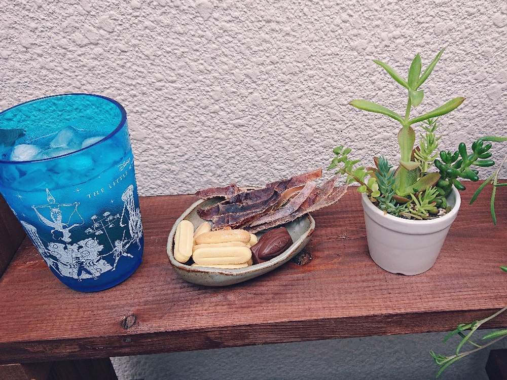バルコニー/ベランダの画像 by つぐみさん | バルコニー/ベランダと虹の玉とひまつりとたのしいと多肉勉強中とbabyと多肉大好きと寄せ植えとオシャレとプチ日記と増やし中と多肉女子とGreenSnapmarcheといやされるとかわいいな♡とげんき!とGREEN UP!とおおきくなあれと日々の成長を記録記録!^ ^と成長日記