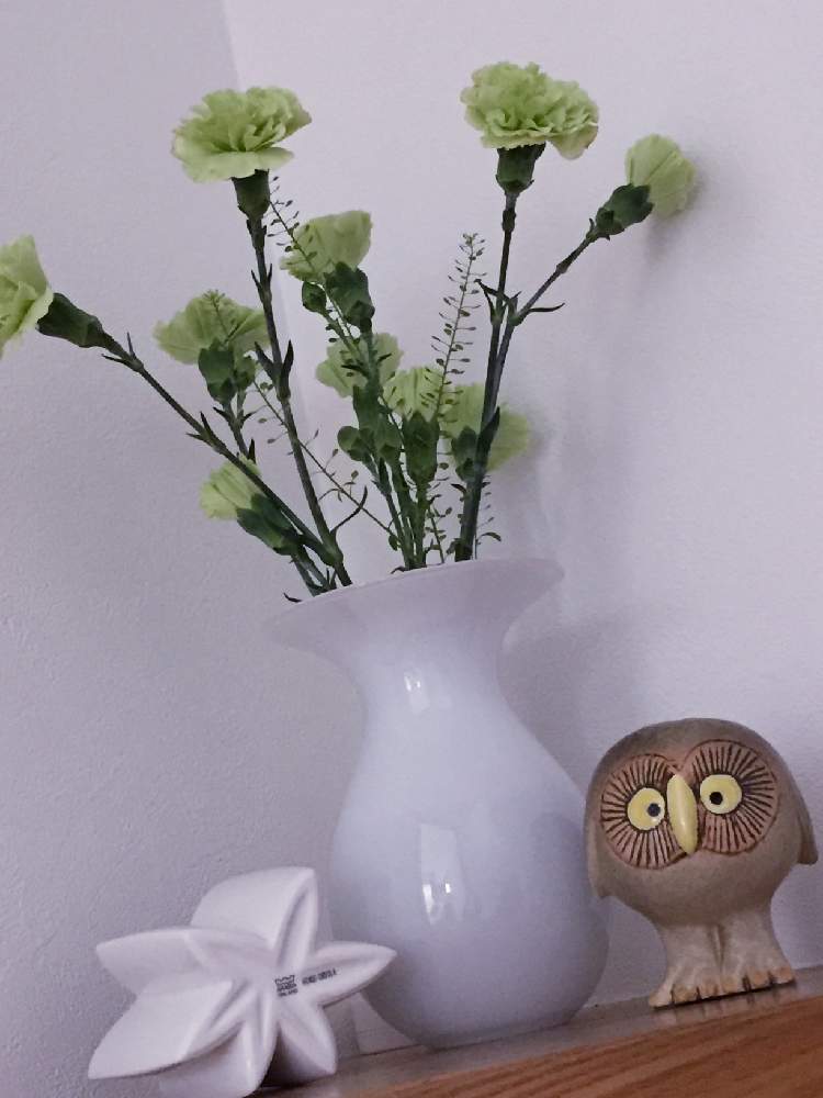 インテリアの画像 by Flower✴︎さん | インテリアと素敵なお出迎え♡とイキイキ 元気と感謝♡ありがとう♡と花のある暮らしとかわいいと素敵インテリア♡と癒し♡とグリーンと可愛い♡と北欧