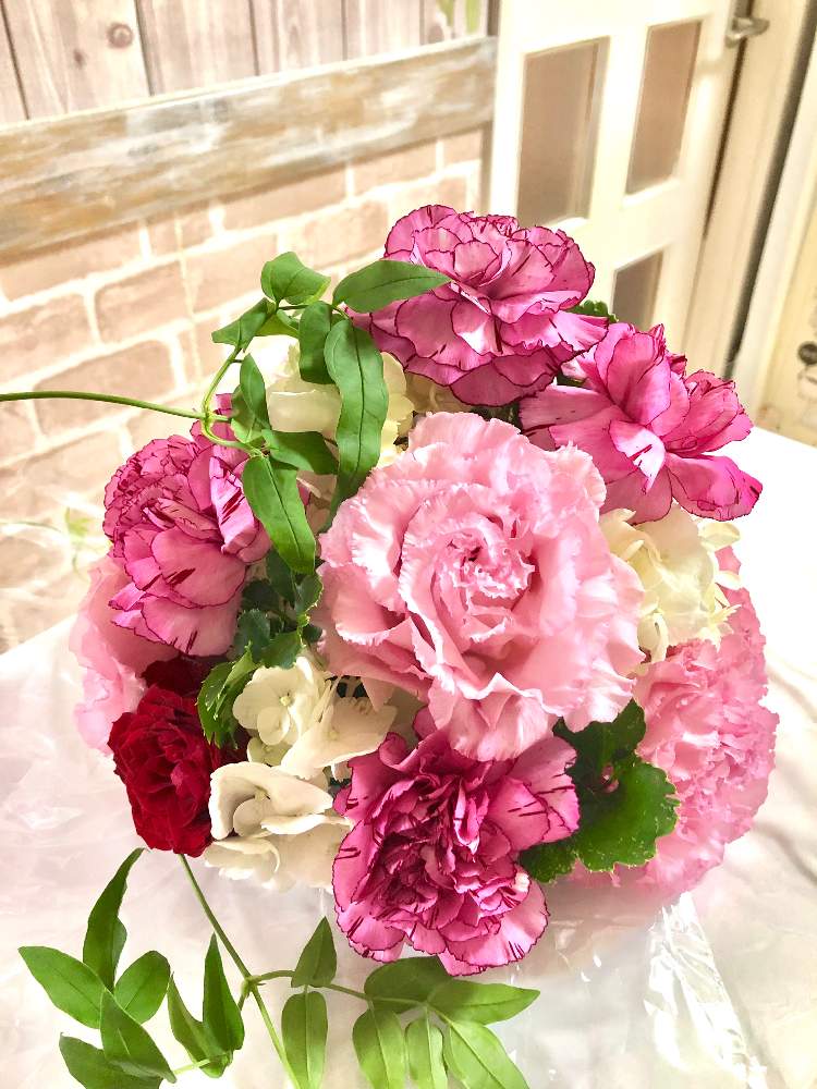 お出かけ先の画像 by 松 祐さん | お出かけ先とプレゼントと頂きものと今日の一枚と今日のお花と結婚式のお花とお土産とお持ち帰りと花のある暮らし