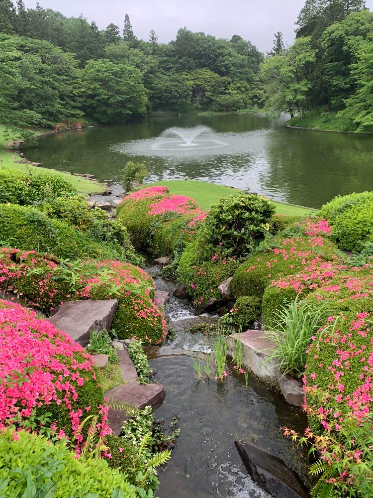 お出かけ先の画像 by ケン太さん | お出かけ先と梅雨入りと✨✨✨と新緑の季節と花のある暮らしとDIC川村記念美術館と佐倉市