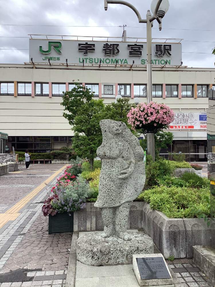 お出かけ先の画像 by nowさん | お出かけ先と明太子チーズ餃子グラタンと餃子みたいとGS映えと朝ごはん餃子食べちゃったわと植中毒と餃子も楽しみと水餃子みたいと餃子ですと餃子と珍奇植物と餃子多肉と餃子とか肉まんを思い出させると水餃子と餃子似と餃子まつり