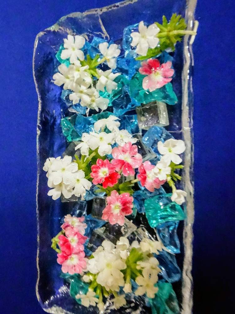 部屋の画像 by 野ニンさん | 部屋と令和最初の植物と出版とGS映えと花のある暮らしとGREEN UP!