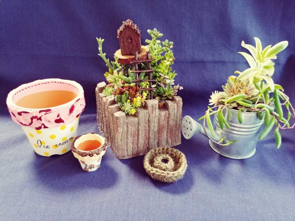 インテリアの画像 by tsukiさん | インテリアと多肉植物とヨコハマハンドメイドマルシェ2019とパシフィコ横浜とアイスクリーム鉢とリメ鉢とmiiwaさんの寄せ植えと多肉寄せ植えとヨコハマハンドメイドマルシェ