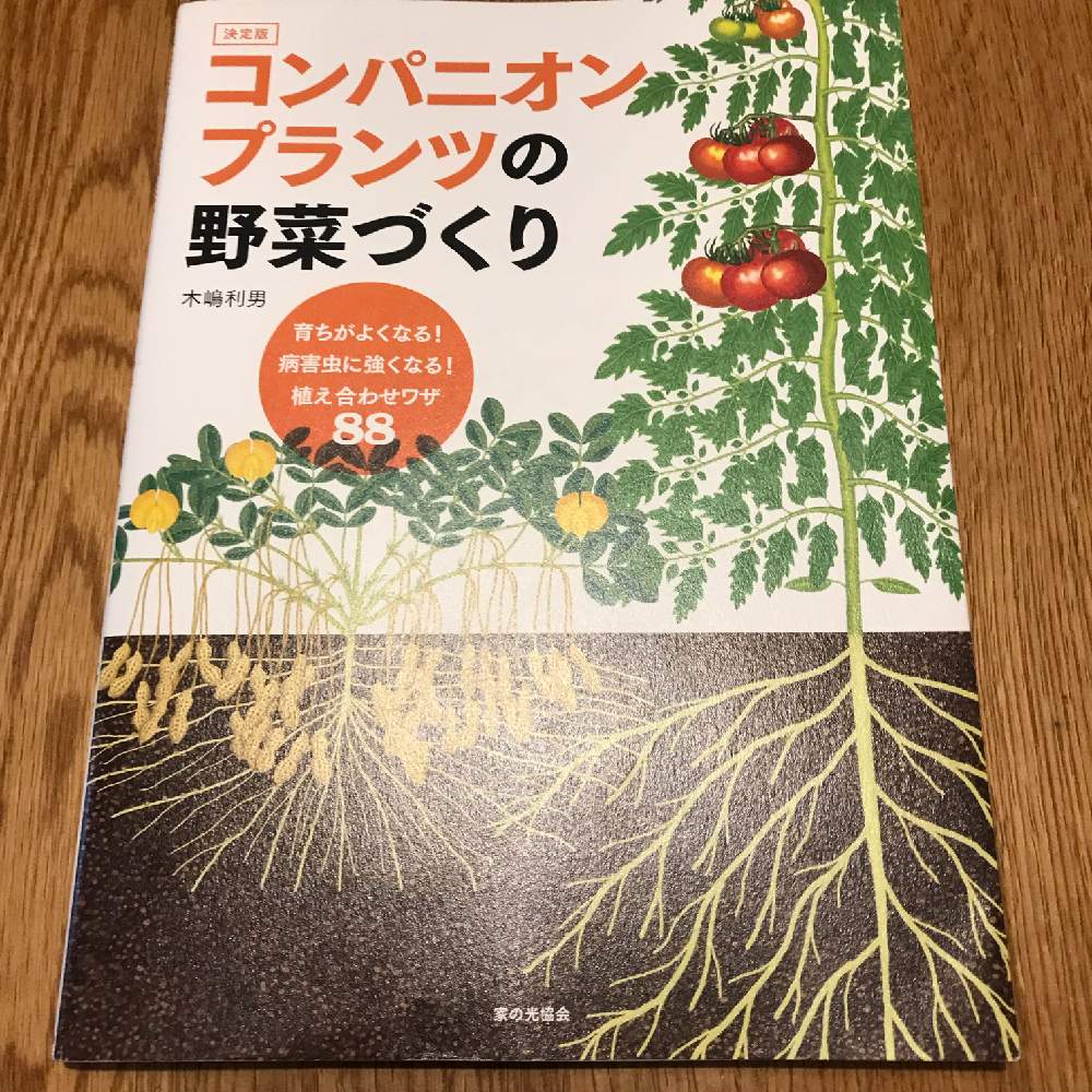 の画像 by GOOSさん | 雑草マルチングと木嶋利男と混植家庭菜園と家庭菜園と自然菜園と緑肥と種からとマルチングとバンカープランツと種まきから育てると初心者です!と無農薬❤家庭菜園と無農薬とタネから育てると家庭菜園奮闘日記と無農薬有機栽培と無肥料とコンパニオンプランツと草マルチと有機栽培