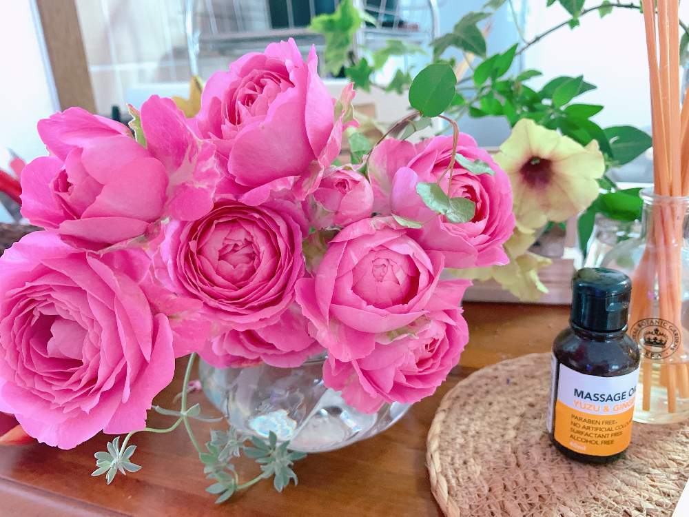キッチンの画像 by Tenさん | キッチンと薔薇とペチュニアモンローウォークシルキーラテとベランダのお花とお気に入り室内ボタニカルスポットとGS映えとグリーンとお花のある暮らしとキッチンカウンターとお気に入りコーナーと花のある暮らしとインテリア雑貨と薔薇の花とカインズバラコンテスト2019