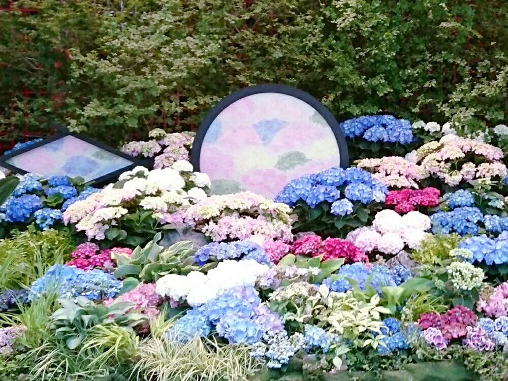 お出かけ先の画像 by misaoiさん | お出かけ先と花のある暮らしと羽田空港国際ターミナル
