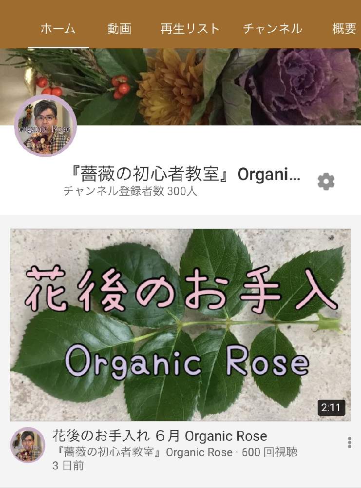 デスクの画像 by 『薔薇の初心者教室』Organic Roseさん | デスクとYouTubeとバラ初心者とキュンキュン乙女倶楽部と薔薇愛同盟と野菜づくりと家庭菜園と薔薇の育て方勉強中✏と初めてのバラとバラの育て方と薔薇の育て方と薔薇の初心者教室と花のある暮らしと家庭菜園奮闘日記とロザリアンと初めての園芸と初めての薔薇とOrganic Rose