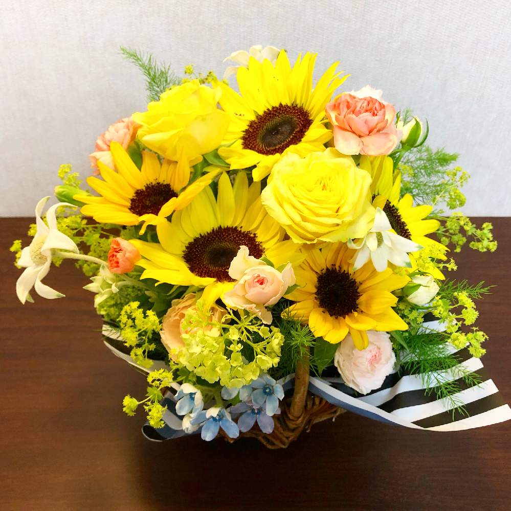 玄関の画像 by airiさん | 玄関とフランネルフラワーとカーネーションとブルースターと薔薇と向日葵とレディースマントルとバスケットとバスケットアレンジメントと切り花を楽しむとGS映えとアレンジとGreenSnapmarcheとフラワーアレンジメントと花のある暮らしと『窓辺に飾られた植物』フォトコンテストとGREEN UP!と切り花と父の日