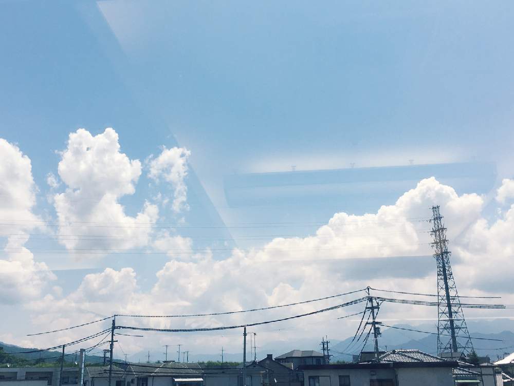 お出かけ先の画像 by kiyo.yokoさん | お出かけ先とコレコレ(〃∇︎〃)と今日はお休みと発見❢と自然美とかわいいな♡とレッツゴー三匹とiPhone撮影とGS植物うちなーぐち会