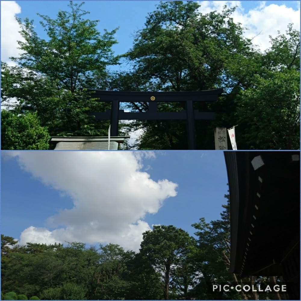 の画像 by トリトンさん | キュンキュン乙女倶楽部とお花大好き♡とありがとう♡とかわいい♡といやされる♡とGS映えとGS日和とキュンキュン乙女倶楽部No.183と応援するよと頑張れ♡えっこ