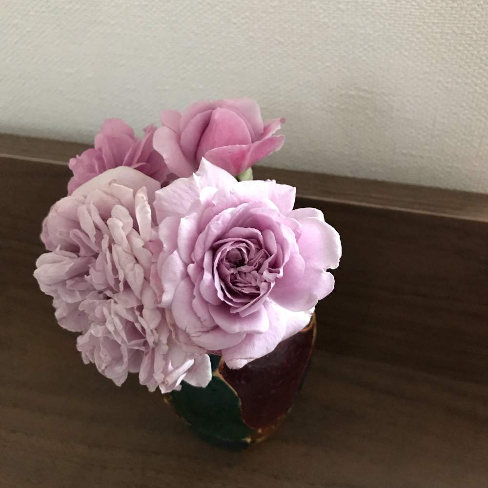 寝室の画像 by ☆Mayuka☆さん | 寝室とレイニーブルーと幸せ♡とばら バラ 薔薇と薔薇愛同盟とお花大好き♡といつもありがとう♡と薔薇に魅せられてとGSのみなさんに感謝♡と植中毒と緑のある暮らしとありがとうと花のある暮らしとやさしさと薔薇♪とばら 薔薇 バラとバラ・ミニバラとお花好きとlove plantsとノーグリーンノーライフと植物に癒されてと薔薇の花