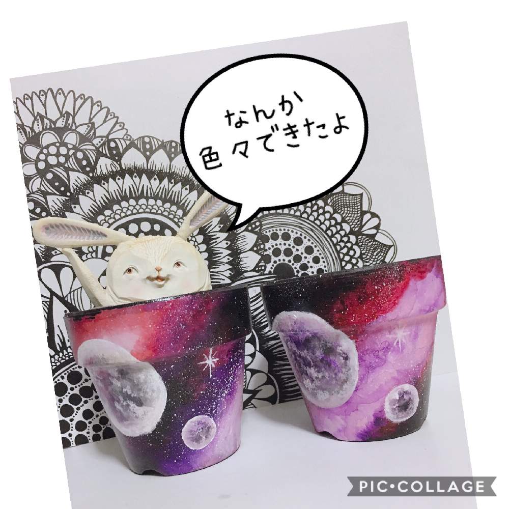インテリアの画像 by はる succulents forestさん | インテリアと多肉植物 寄せ植えと植物を入れるリメイク鉢とリメイク鉢✨と多肉植物と観葉植物と寄せ植えとリメ缶 手作りリメイク缶とリメ鉢とエケベリア属と多肉女子と❤️いいね、ありがとうとリメ缶・リメ鉢と育てやすい多肉植物とリメイク鉢