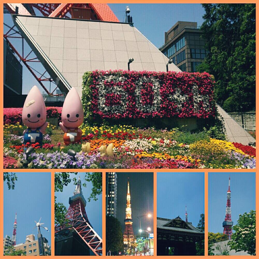 お出かけ先の画像 by ほっこり畑さん | お出かけ先と癒やしと芝公園と元気になりたいと東京とやっぱり…と公園と家出おばちゃんとヘルプマークと東京タワーと元気になりますようにと好きと木のある風景と散歩と想い出に変わるまでと癒やされる存在とさんぽみちと花のある暮らしと好きな風景とお散歩と大好き!