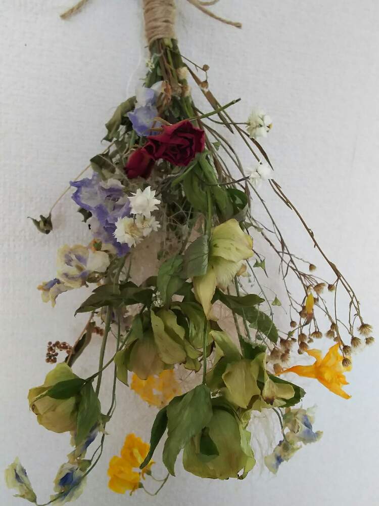 壁/天井の画像 by SAKURAさん | 壁/天井とドライリースとドライフラワーとドライ小物とドライフラワーアレンジとドライ好きと花のある暮らし