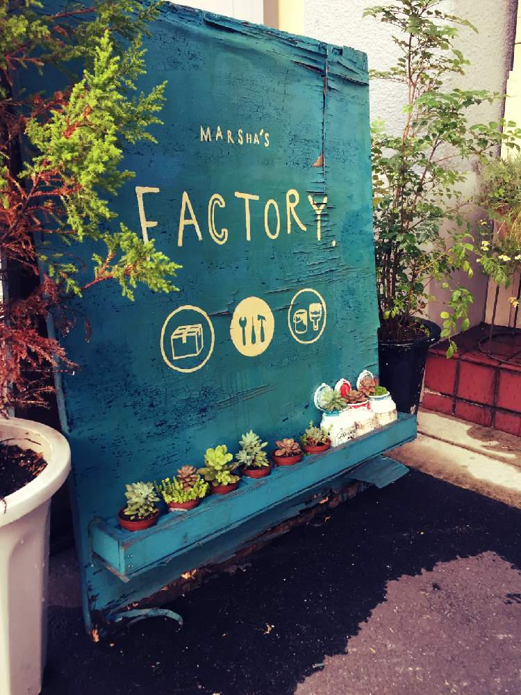 車庫の画像 by 手づくりアーティストのお店 Marshaさん | 車庫とボロボロ…。と多肉植物とペンキ缶と緑のある暮らしと育てやすい多肉植物とDIYとハンドメイドとショップとお店とGREEN UP!とハンドメイド雑貨