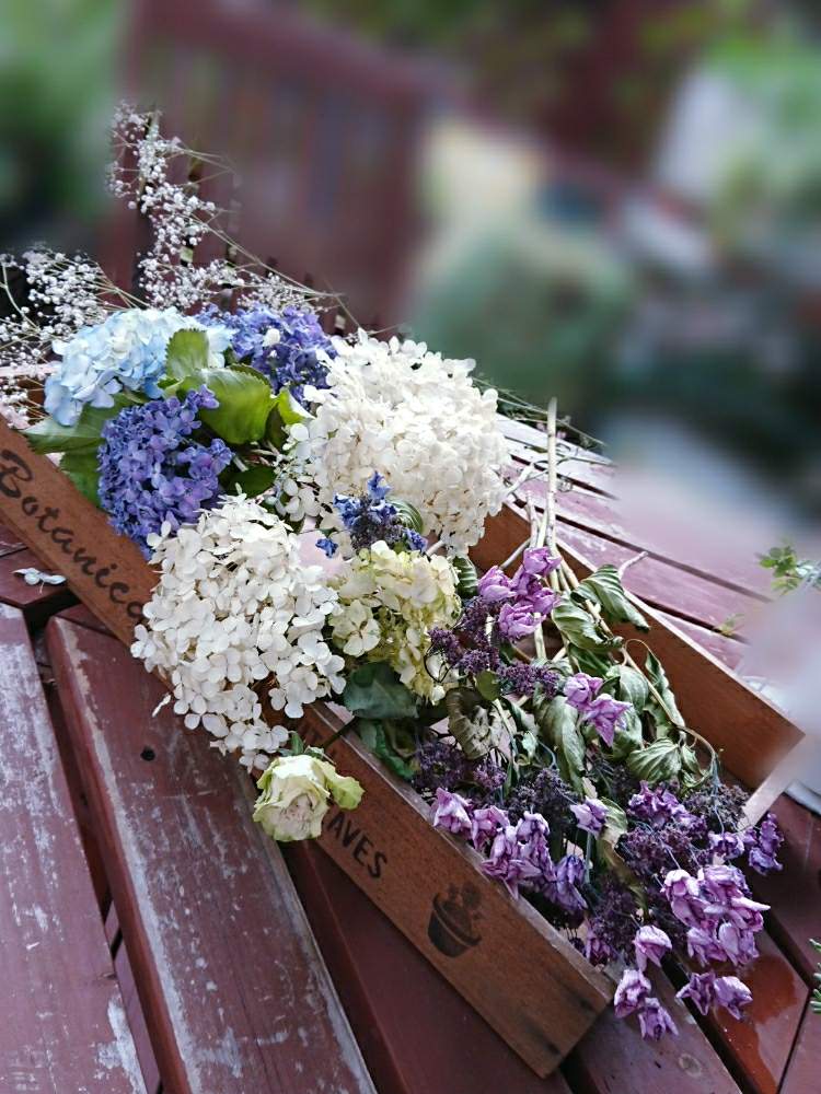 エクステリアの画像 by aki~nakさん | エクステリアと令和最初の植物とWEEKEND FLOWERとドライフラワーのある暮らしといやされる♡とGS映えとしぞーか勢とGS日和と今日の一枚と有難う♥とGreenSnapMarche YOKOHAMA2019とGreenSnapmarcheと花のある暮らしとGREEN UP!と自己満足´ω`*と『あじさい2019』フォトコンテスト