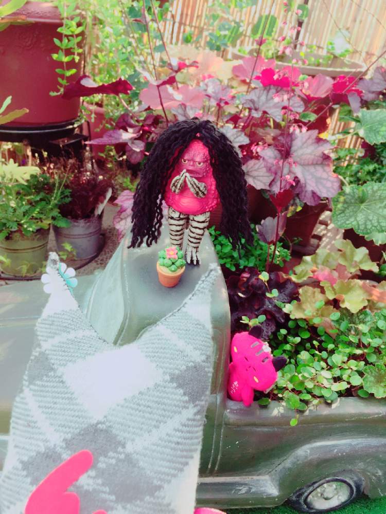 の画像 by Y._.YUKIMIRACLE-Y._.Yさん | ほぼ、毎日ピグモンだモン♬とヒューケラ♪とヒュケラー♬と☆ワイヤープランツともったいブル(*´pq`*)とピグモン劇場*