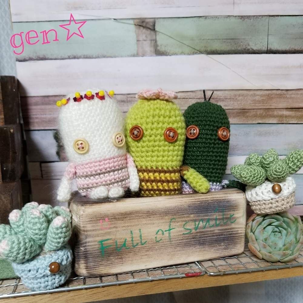 部屋の画像 by げんげんさん | 部屋とgengen木箱とHTCとだいすきとありがとう♡と植中毒と多肉夫婦とバラと夢CLUBとしあわせ♡とタニラーといやされるとかわいいな♡と多肉多肉多肉多肉多肉‼とたにおたくらぶと千葉タニラーと置ききれない多肉たちとGS植物うちなーぐち会